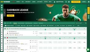 BetWinner Your Ultimate Guide to Betting Success