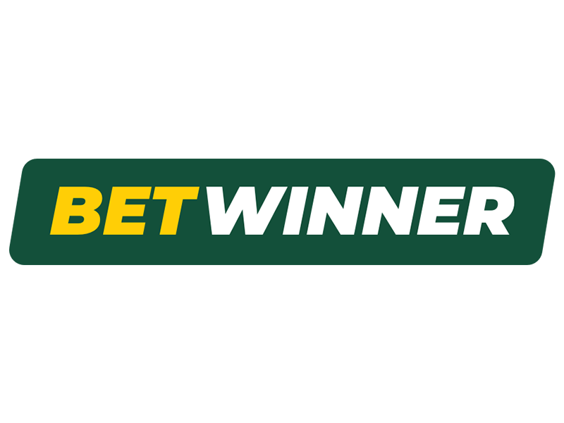 BetWinner Your Ultimate Guide to Betting Success
